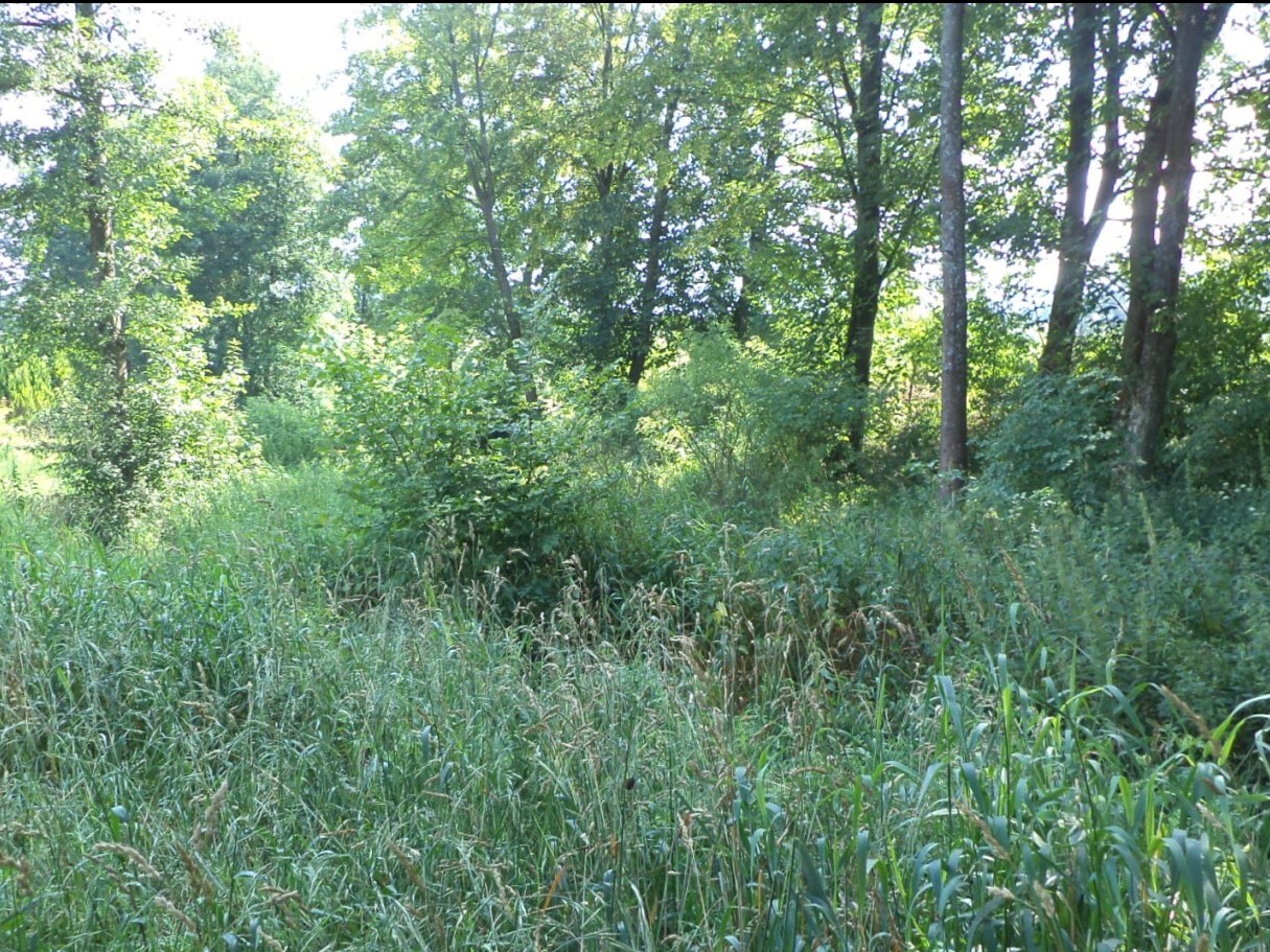 Pozemek o velikosti 154m2,  Prostřední SB