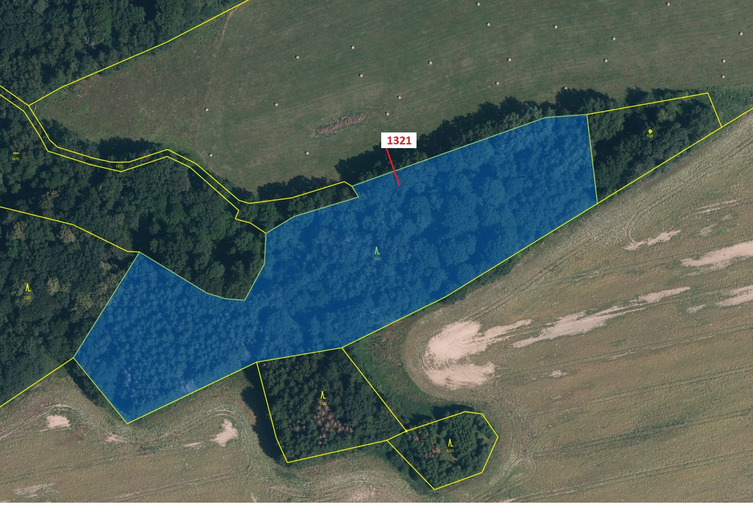 Lesní pozemek o výměře 21 506 m2, podíl 1/1, katastrální území Předlánce, obec Višňová, obec s rozší