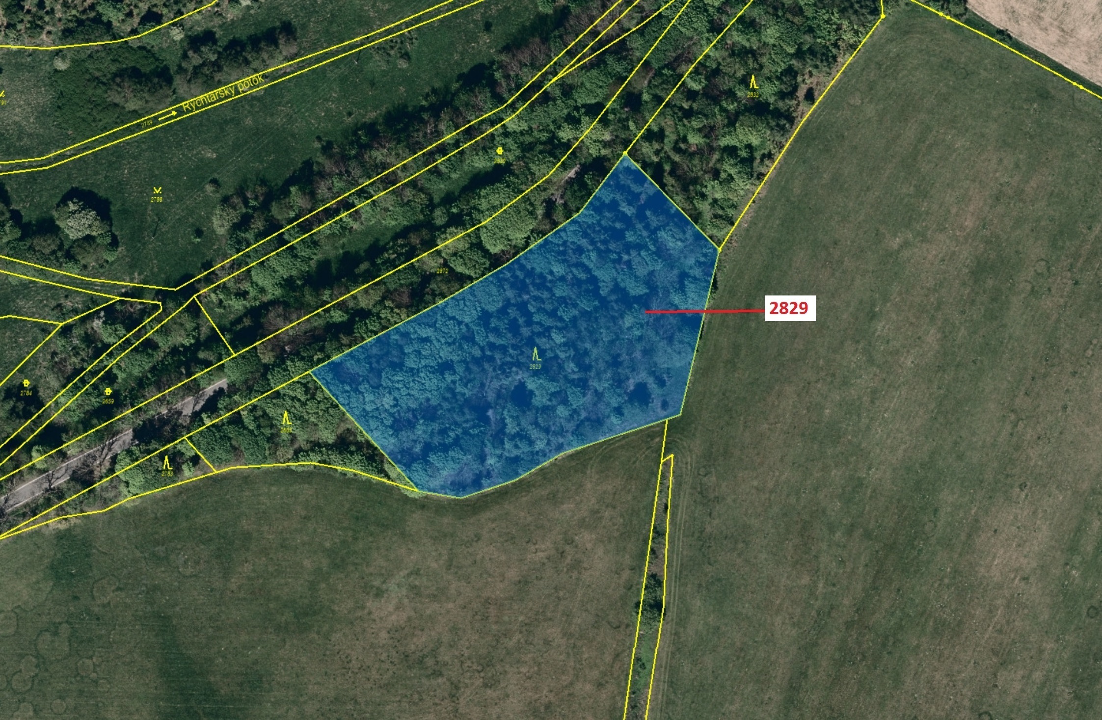 Lesní pozemek o výměře 7776 m2, podíl 1/1, katastrální území Podlesí nad Odrou, obec Budišov nad Bud