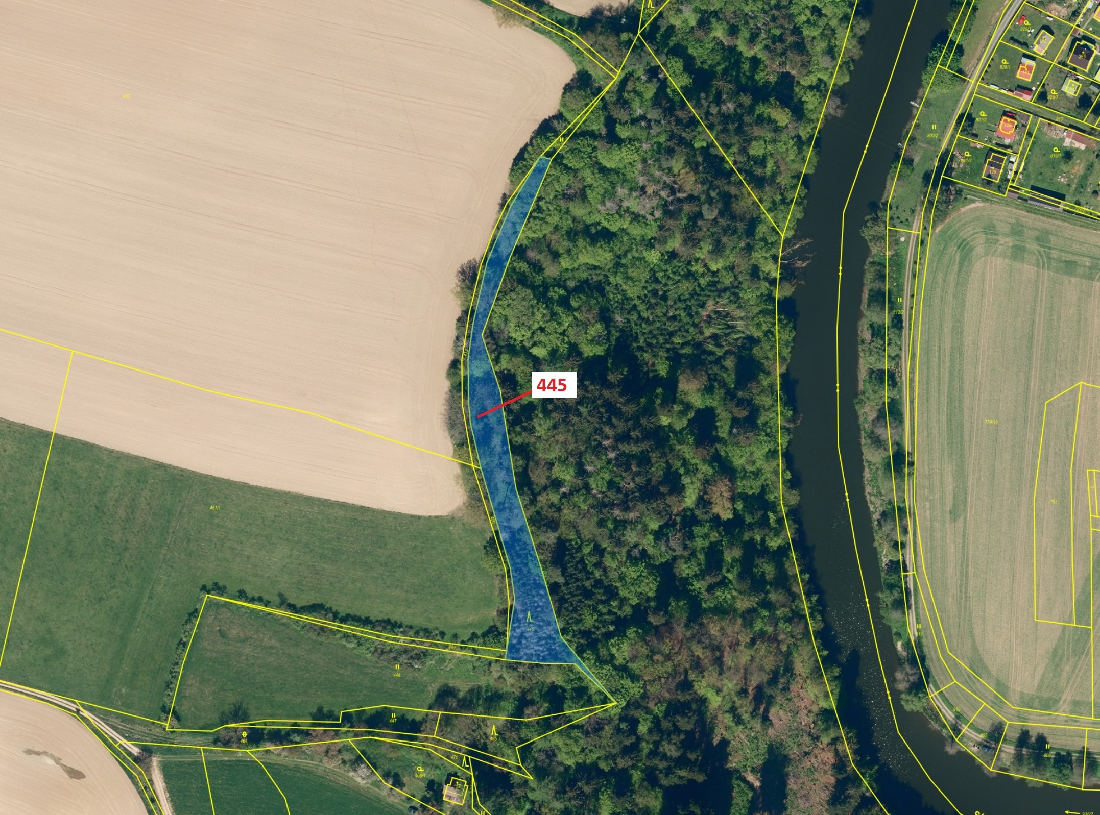 Lesní pozemek o výměře 2721 m2, podíl 1/1, katastrální území Kounice nad Sázavou, obec Vlastějovice,