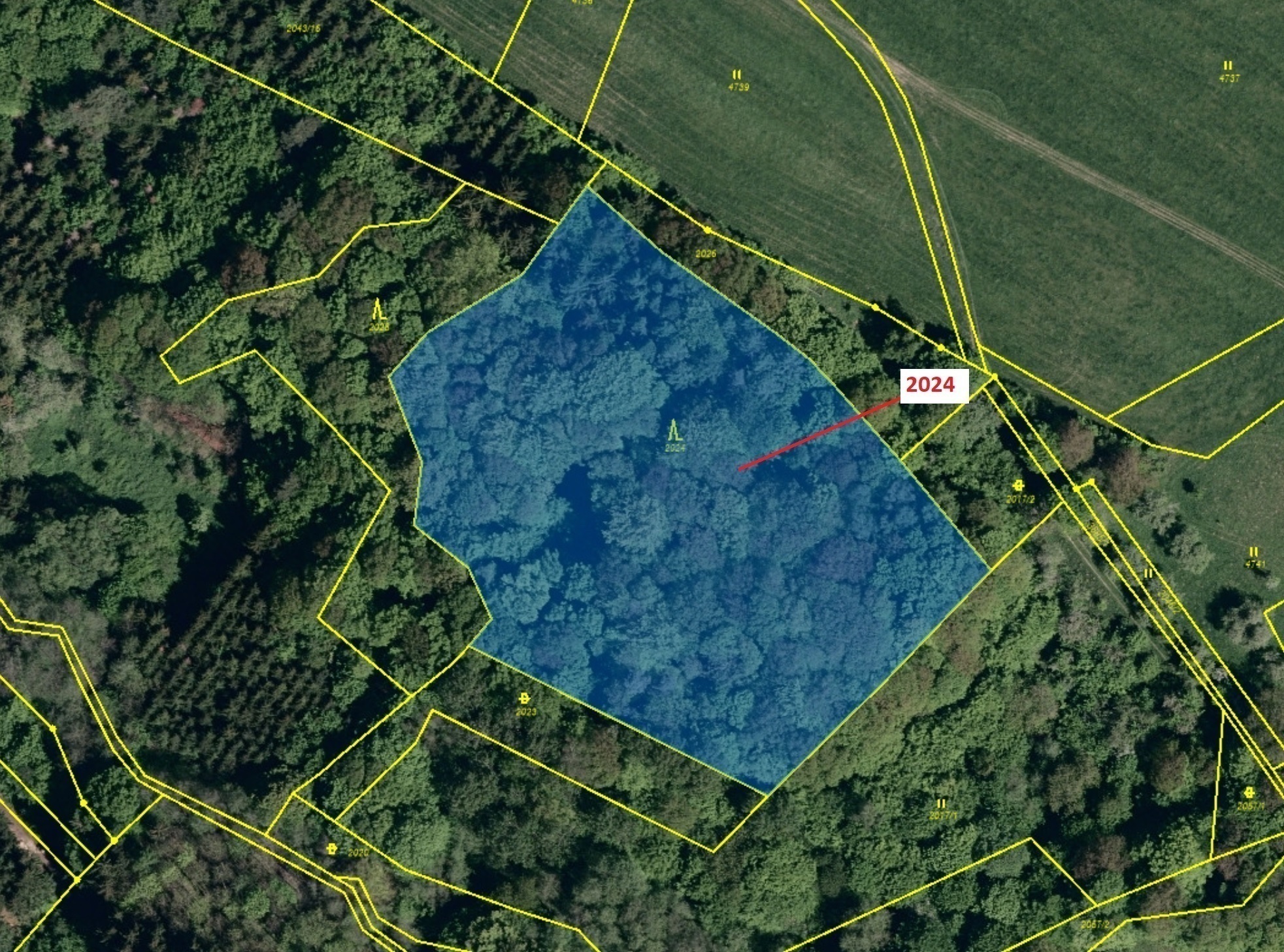 Lesní pozemek o výměře 8536 m2, podíl 1/1, katastrální území Slopné, obec Slopné, obec s rozšířenou 