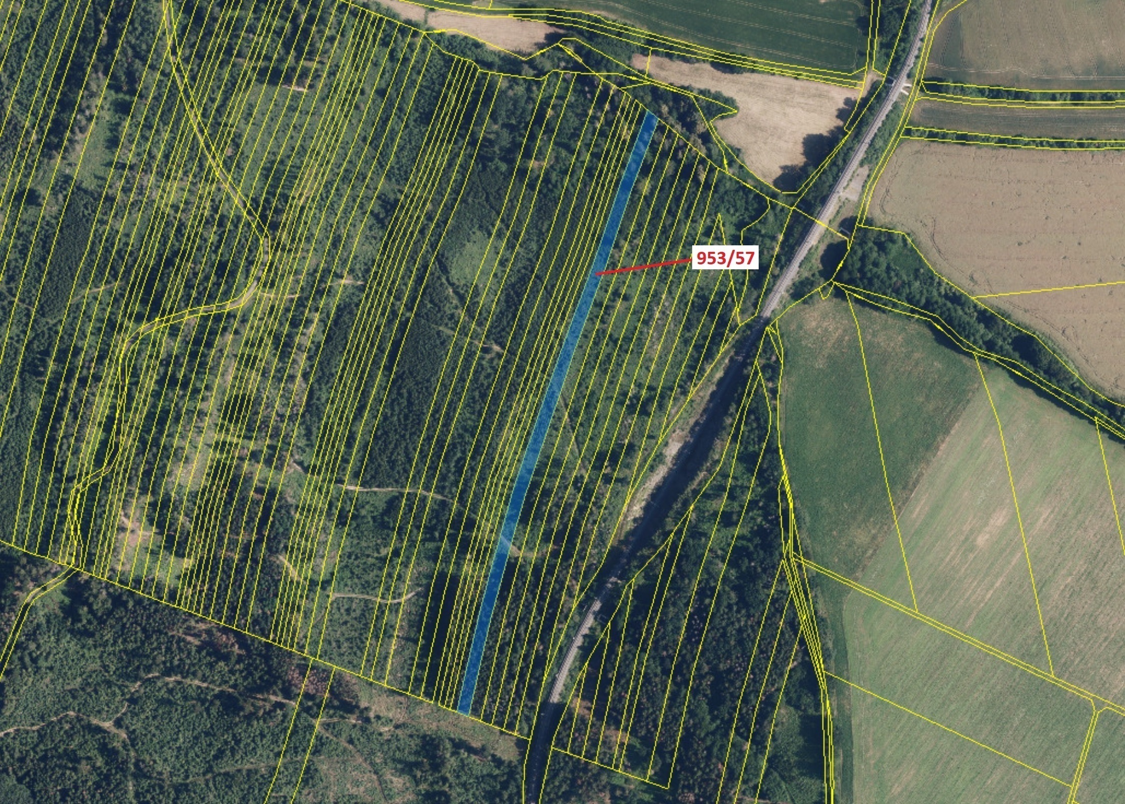 Lesní pozemek o výměře 6750 m2, podíl 1/1, katastrální území Nová Hradečná, obec Nová Hradečná, obec