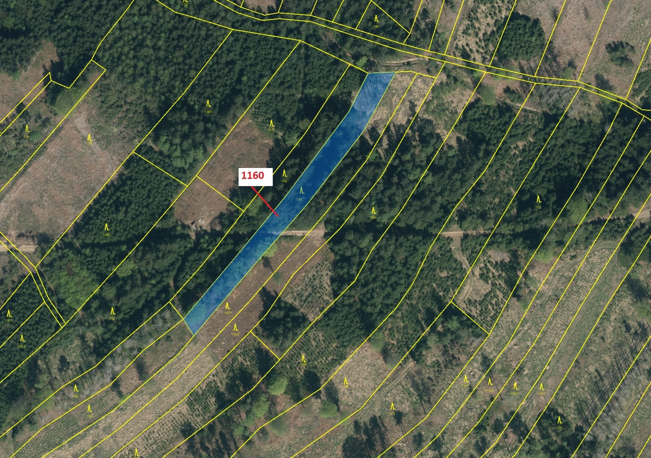 Lesní pozemek o výměře 2693 m2, podíl 1/1, katastrální území Vilice, obec Vilice, obec s rozšířenou 