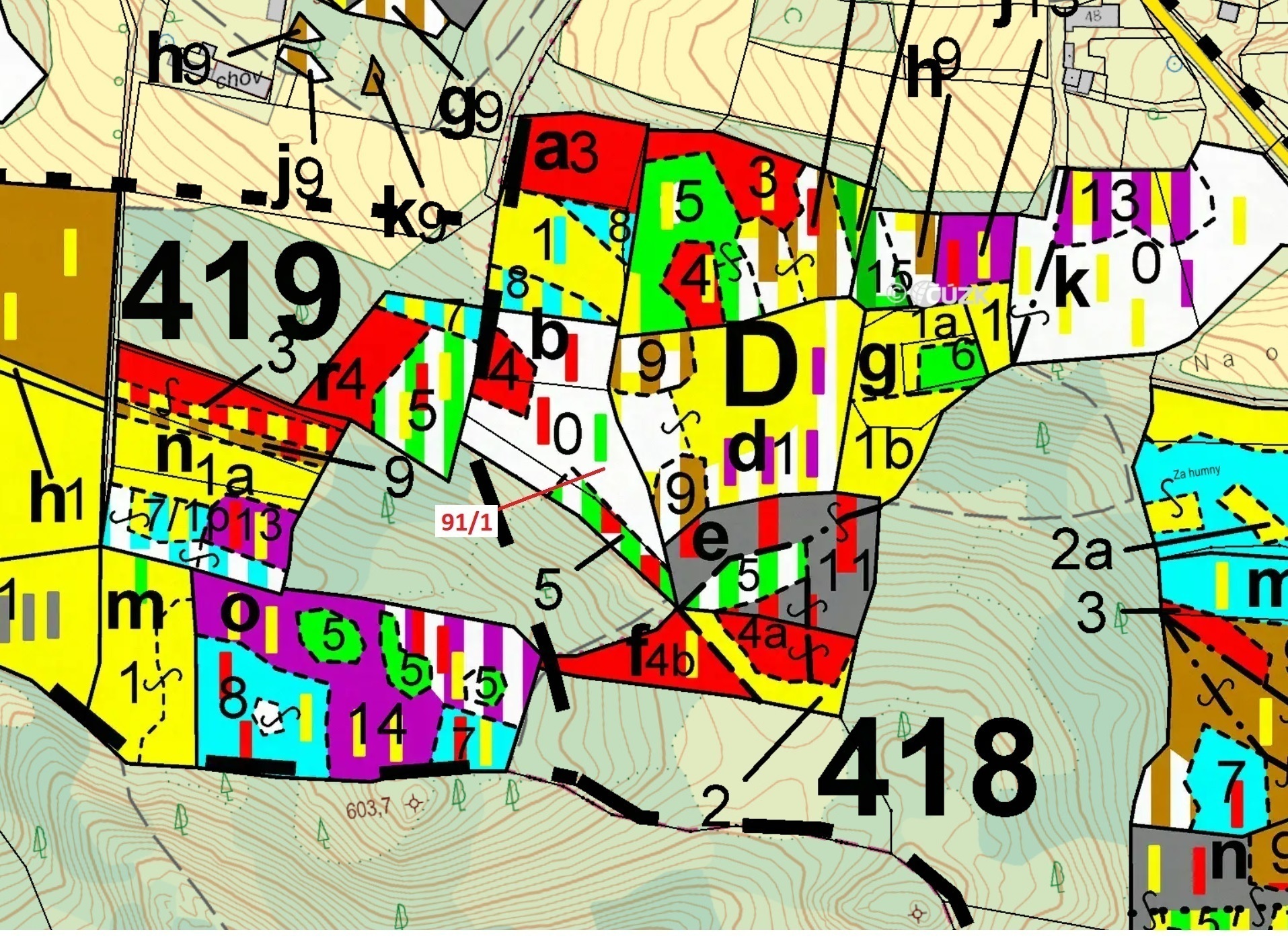 Lesní pozemek o výměře 3251 m2, podíl 1/1, katastrální území Velešice u Pačejova, obec Pačejov, obec