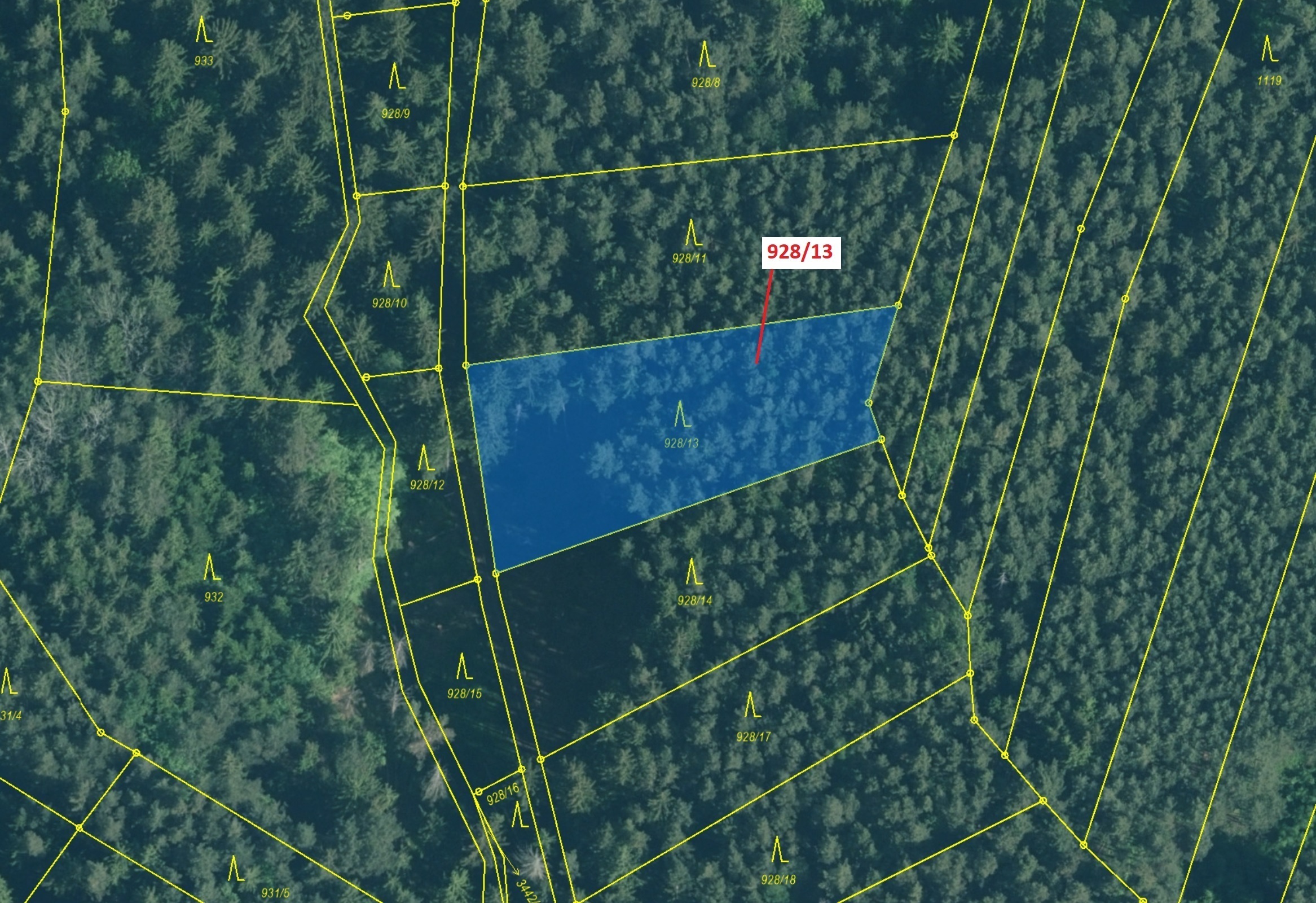 Lesní pozemek o výměře 1803 m2, podíl 1/1, katastrální území Hosty, obec Hosty, obec s rozšířenou pů