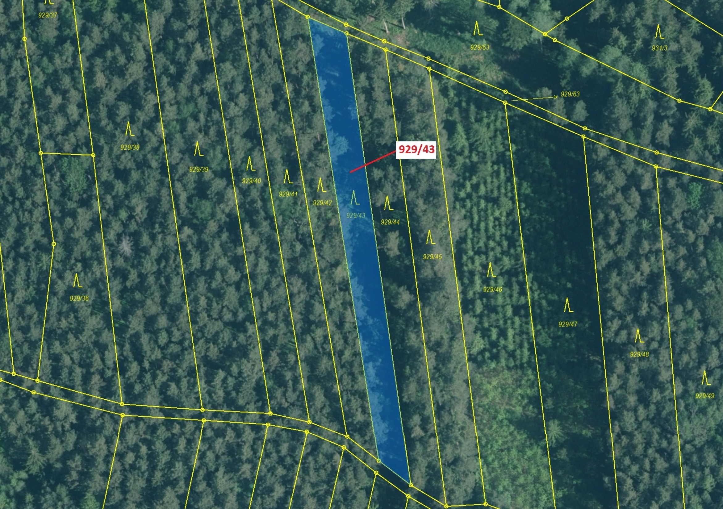 Lesní pozemek o výměře 1258 m2, podíl 1/1, katastrální území Hosty, obec Hosty, obec s rozšířenou pů