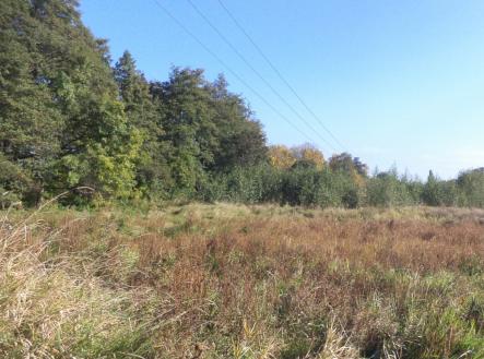 Prodej pozemku, trvalý travní porost, 2 352 m²