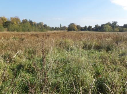 Prodej pozemku, trvalý travní porost, 2 352 m²