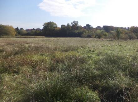 Prodej pozemku, trvalý travní porost, 2 352 m²