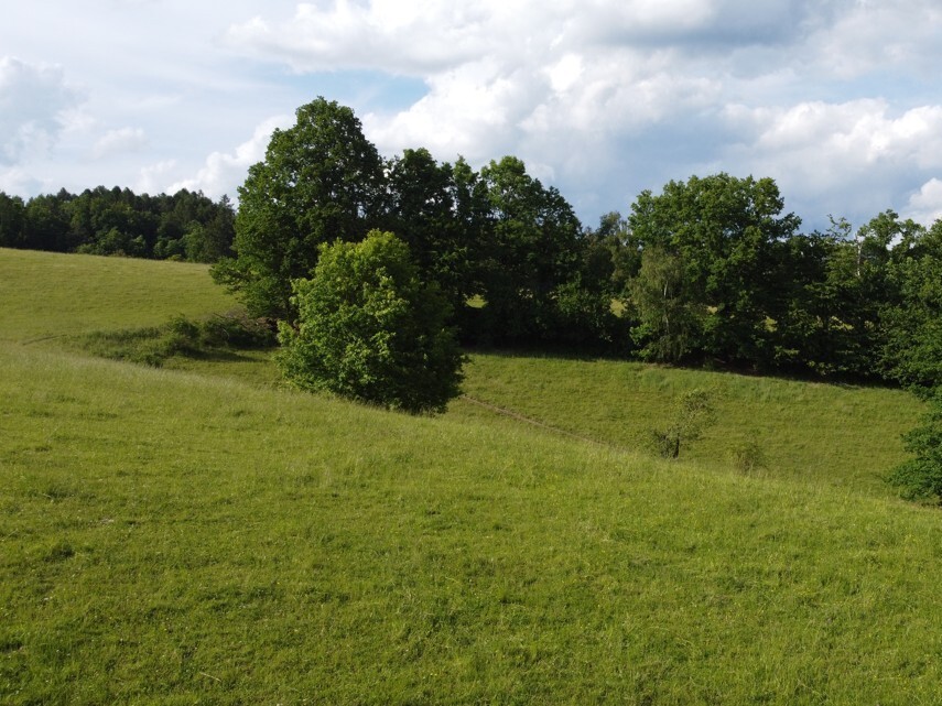 Pozemek o velikosti 2481m2, Hněvkov