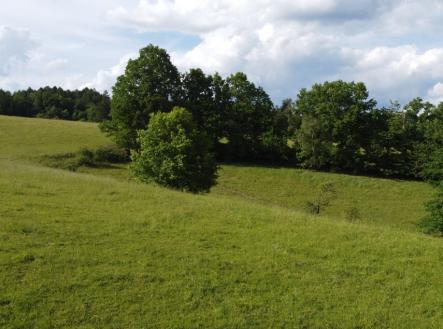 Prodej pozemku, trvalý travní porost, 2 481 m²