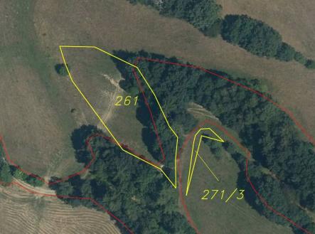 Prodej pozemku, trvalý travní porost, 2 481 m²