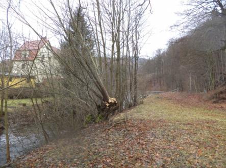 Prodej pozemku, trvalý travní porost, 214 m²