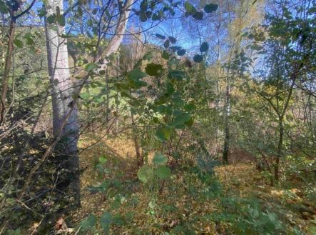 Prodej pozemku, ostatní, 449 m²