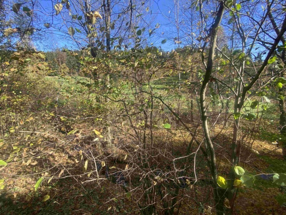 Pozemek o velikosti 449m2, Jindřichov nad Nisou