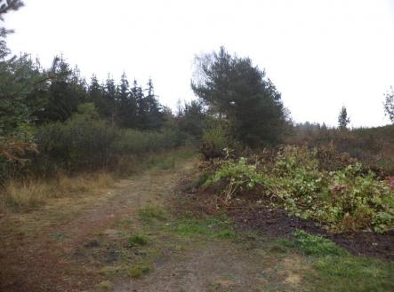 Prodej pozemku, trvalý travní porost, 7 060 m²