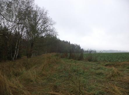 Prodej pozemku, trvalý travní porost, 7 060 m²
