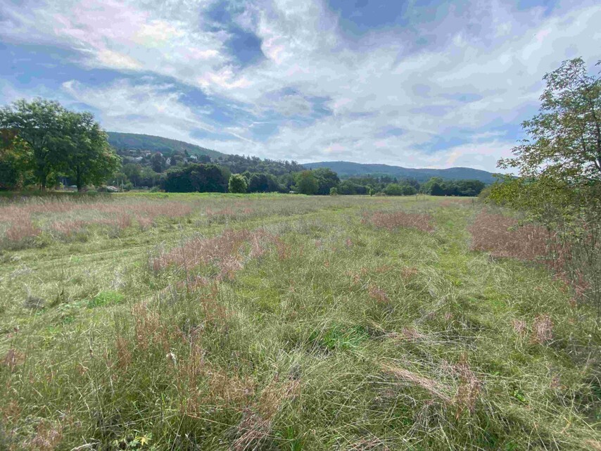 Pozemek o velikosti 601m2, Všenory