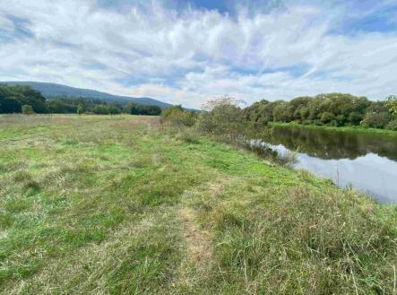 Prodej pozemku, trvalý travní porost, 601 m²