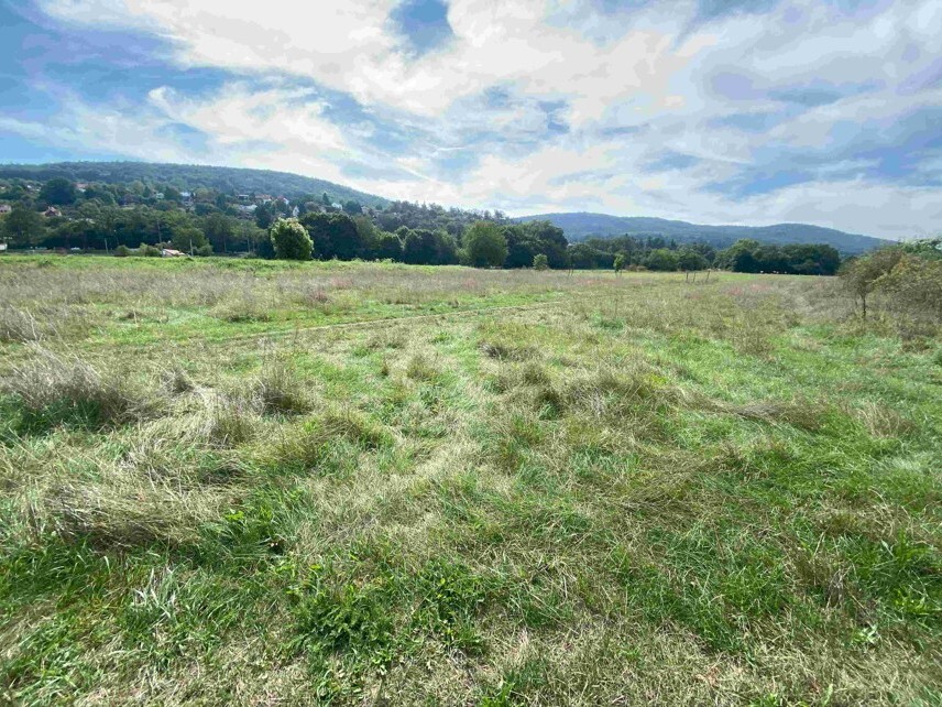 Pozemek o velikosti 601m2, Všenory