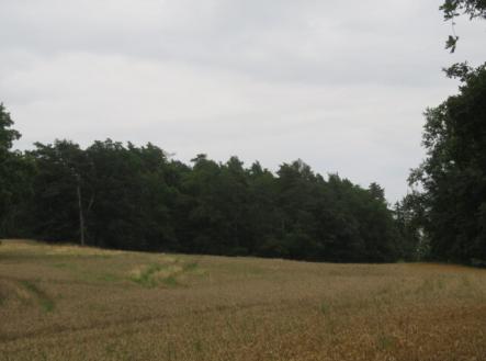 Prodej pozemku, les, 23 907 m²