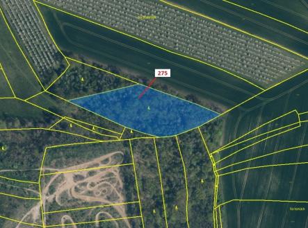 Prodej pozemku, les, 10 319 m²