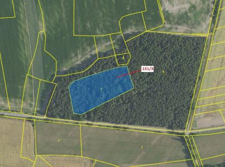 Prodej pozemku, les, 9 307 m²