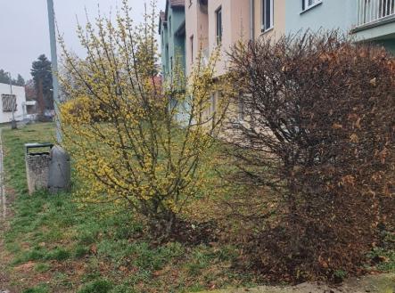 Prodej pozemku, ostatní, 243 m²