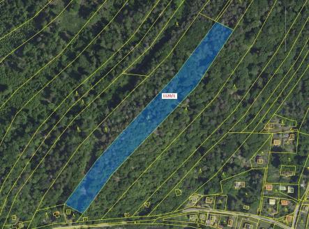 Prodej pozemku, les, 10 096 m²