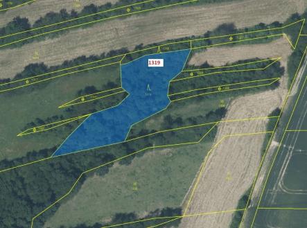 Prodej pozemku, les, 2 439 m²