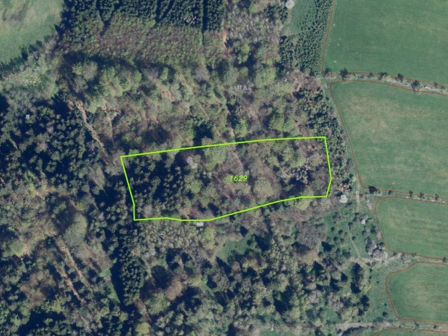 Pozemek o velikosti 14239m2, Petrovice u Chabařovic