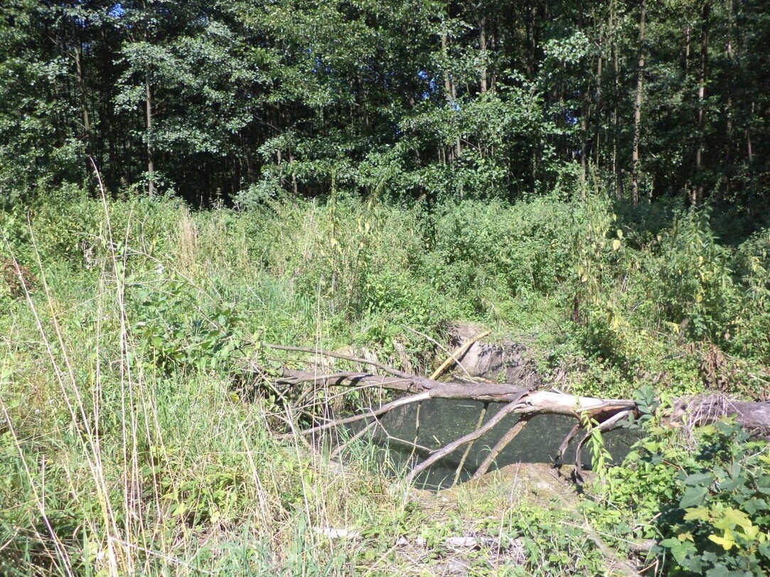Pozemek o velikosti 4529m2,  Stonava