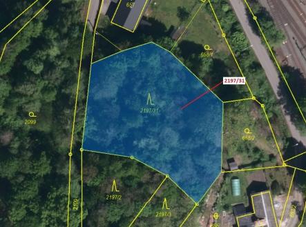 Prodej pozemku, les, 1 999 m²