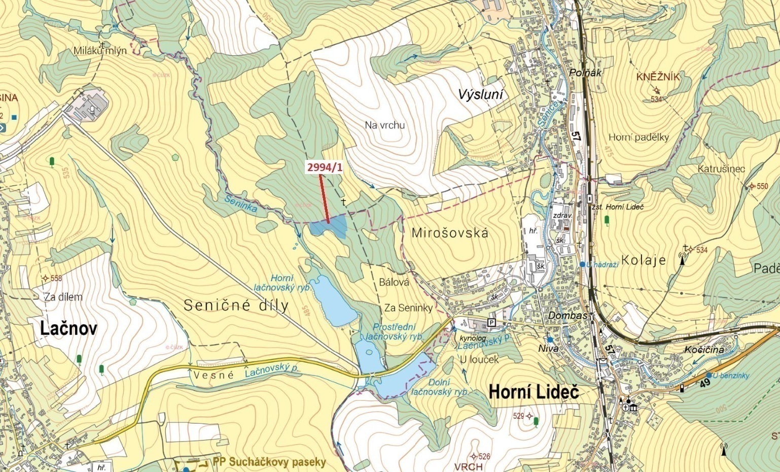 Lesní pozemek o výměře 15 135 m2, podíl 1/1, katastrální území Lačnov, obec Lačnov, obec s rozšířeno