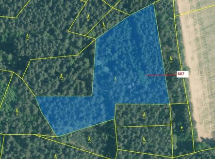 Prodej pozemku, les, 10 437 m²