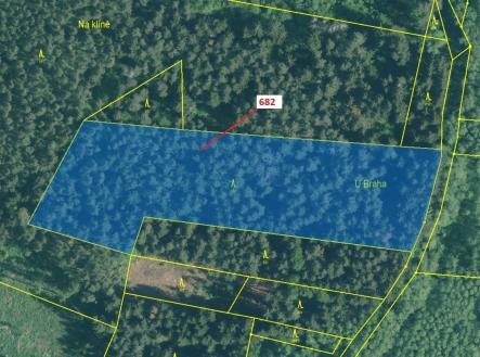 Prodej pozemku, les, 11 584 m²