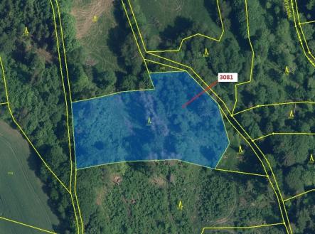 Prodej pozemku, les, 6 213 m²