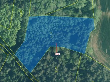 Prodej pozemku, les, 4 499 m²