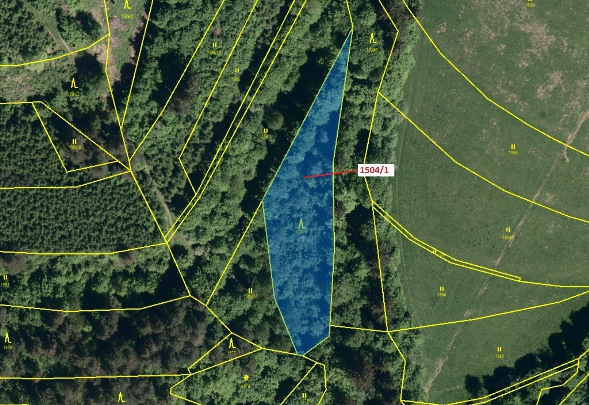 Lesní pozemek o výměře 2626 m2, podíl 1/1, katastrální území Hovězí, obec Hovězí, obec s rozšířenou 
