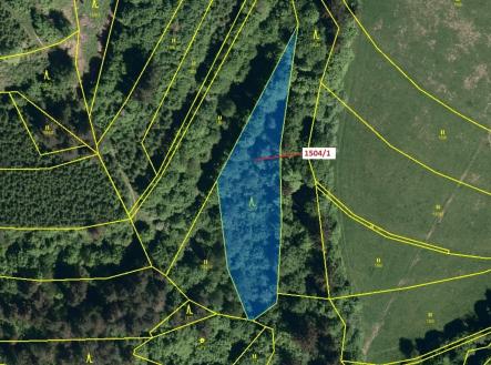 Prodej pozemku, les, 2 626 m²