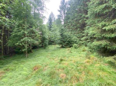 Prodej pozemku, trvalý travní porost, 10 460 m²