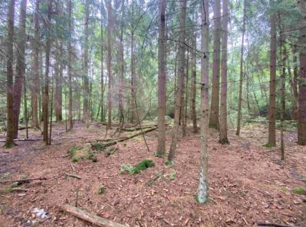 Prodej pozemku, trvalý travní porost, 10 460 m²