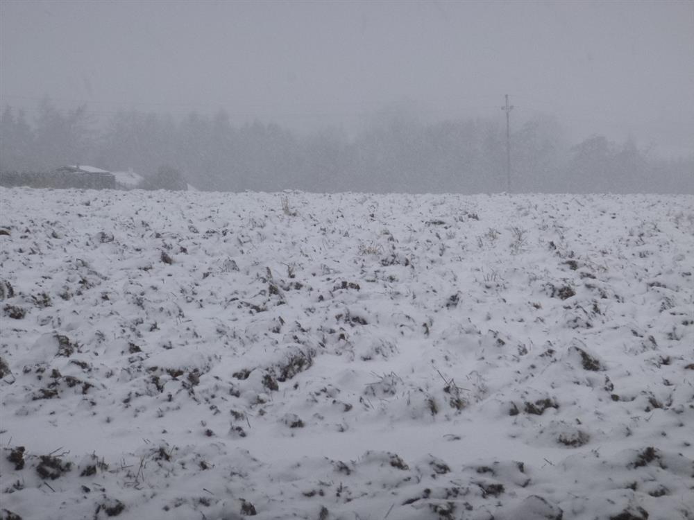 Dražba pozemku ve Škvorci, okr. Praha-východ