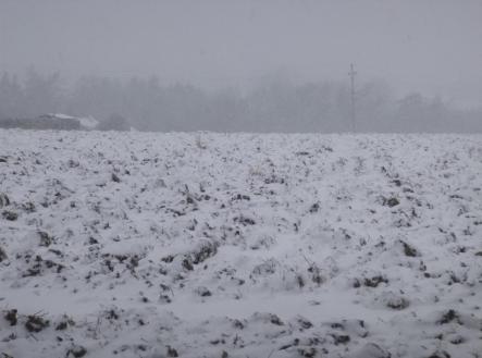 Prodej pozemku, zemědělská půda, 1 638 m²