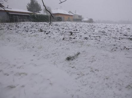 Prodej pozemku, zemědělská půda, 1 638 m²