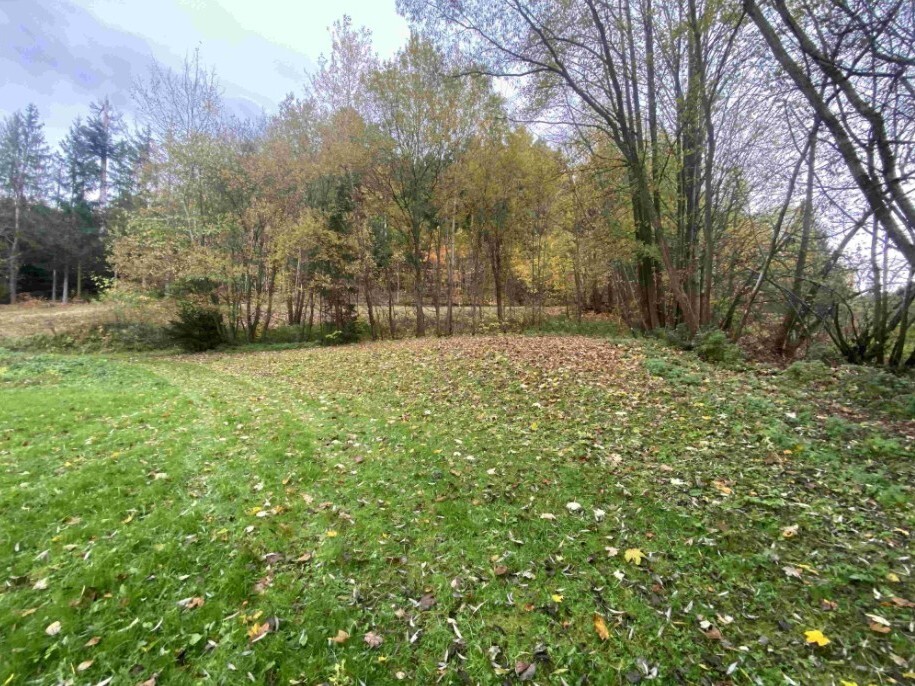 Pozemek o velikosti 1679m2, Chlum u Hartmanic