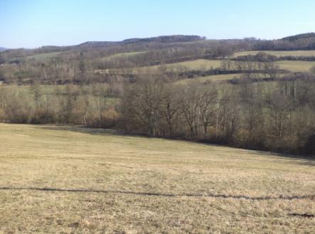 Prodej pozemku, trvalý travní porost, 21 164 m²