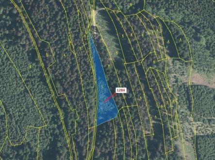 Prodej pozemku, les, 3 805 m²