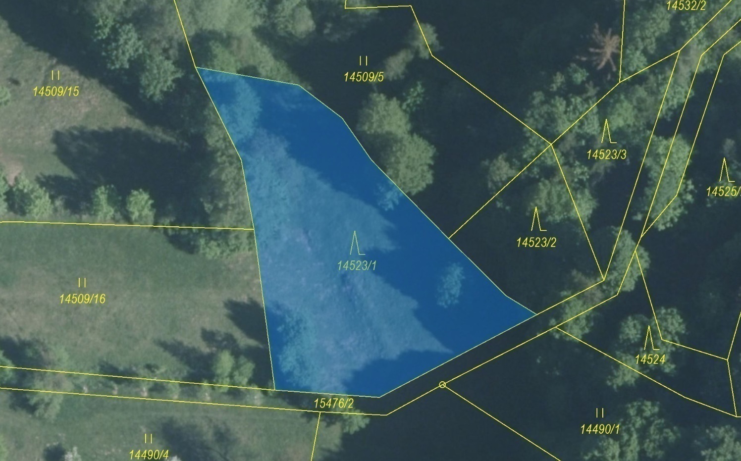 Lesní pozemek o výměře 1547 m2, podíl 1/1, katastrální území Hovězí, obec Hovězí, obec s rozšířenou 