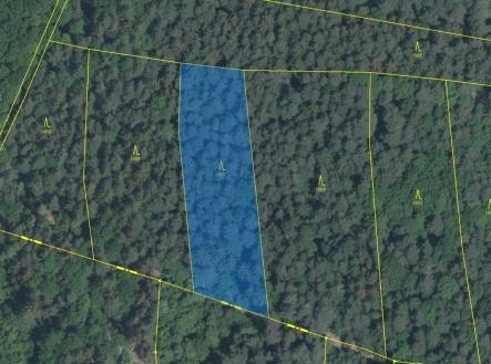 Prodej pozemku, les, 3 147 m²